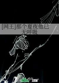 [网王]那个夏夜他已无呼吸