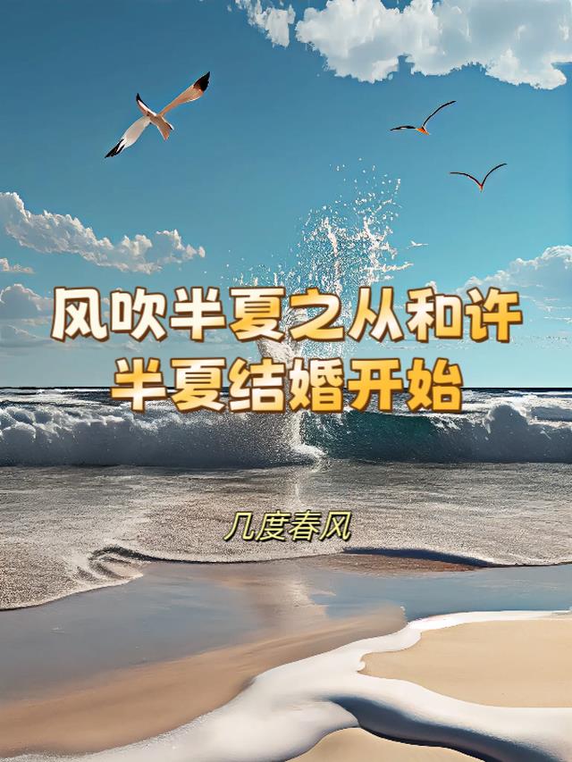 风吹半夏之从和许半夏结婚开始